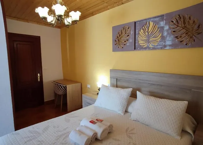 Casa David